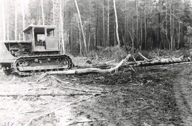 Трелевочный трактор на лесосеке, 1960 г. Ф.1-Ф.Оп.1.Д.126
