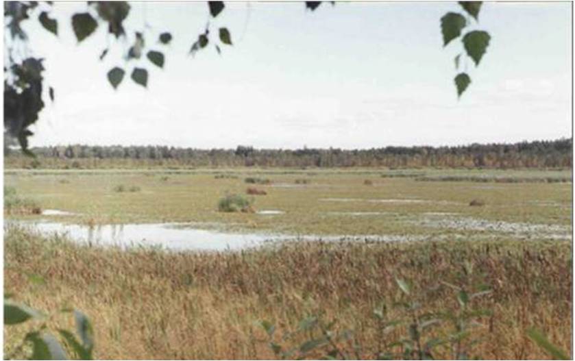 Озеро Сплавное,1996 г.Ф.1-ф.Оп.1.Д.361jpg